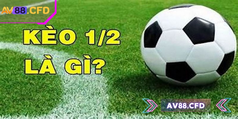 Kèo 1/2 AV88 là gì và hướng dẫn chi tiết cho tân binh 1 Kèo 1/2 AV88 là sự lựa chọn không tồi cho các tân binh