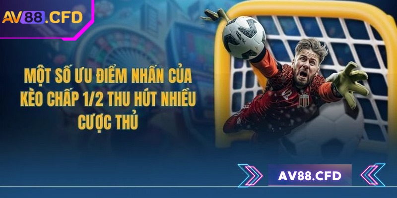Kèo 1/2 AV88 là gì và hướng dẫn chi tiết cho tân binh 3 Nắm được ưu nhược điểm là điều cần thiết
